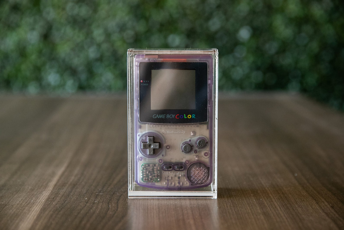 GameBoy Color Acrylic Storage Case
